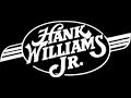 Hank Williams Jr - Attitude Adjustment (Lyrics on screen)