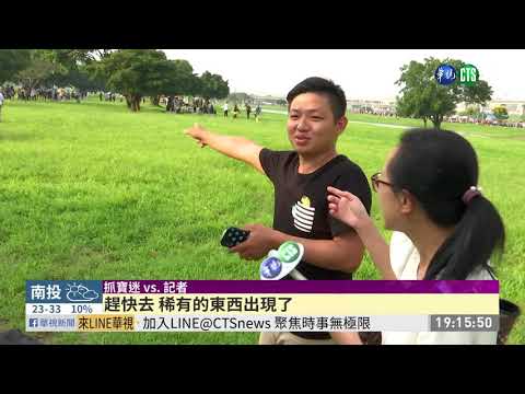 "抓寶大會"第2天 玩家持8支手機尋寶