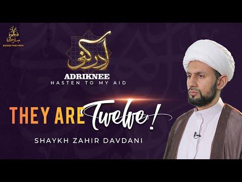 ADRIKNEE – Hasten to my aid | They are twelve!