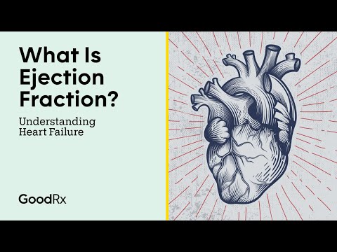 What Is Ejection Fraction and What Does It Mean for Your Heart? | GoodRx