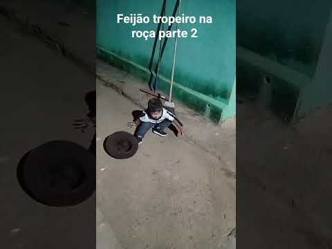 Feijão tropeiro na roça Entre Folhas MG