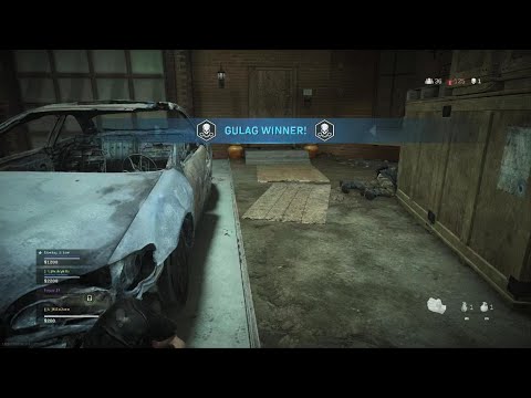 Call of Duty®: Modern Warfare® Bruce Lee's Punch Of Death In The Gulag