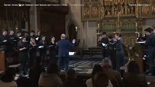 Noel: Verbum Caro Factum Est | Tamsin Jones | ICCC
