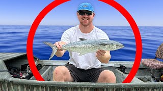 BIG Spanish Mackerel are HERE?!?! Spanish Mackerel Fishing