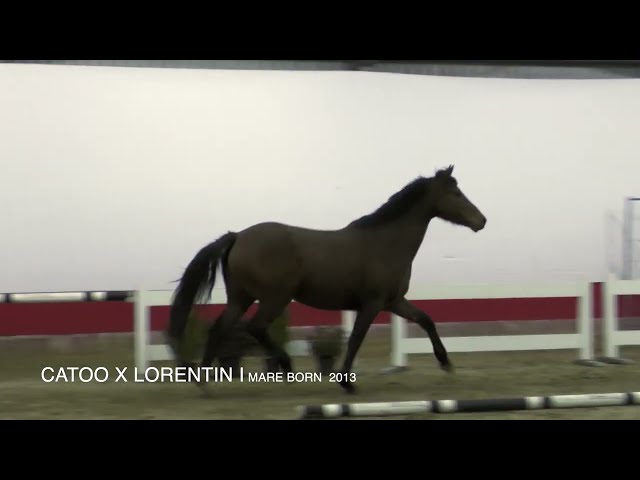 Farina