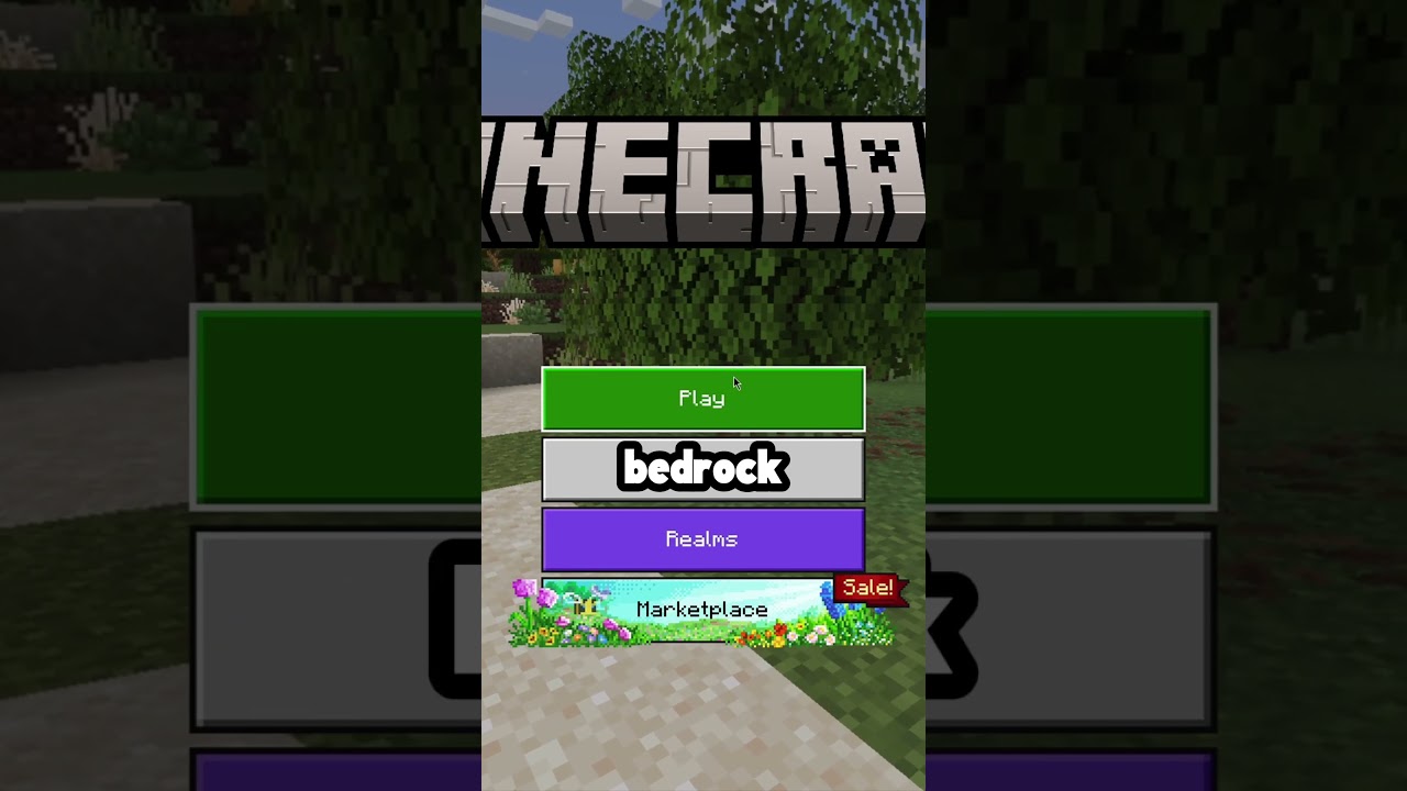 Explore A Massive 1-1 Earth Map In Minecraft Bedrock