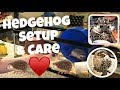 Hedgehog Enclosure and Care! (We Give Them Baths)