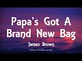 James Brown Papa S Got A Brand New Bag Lyrics