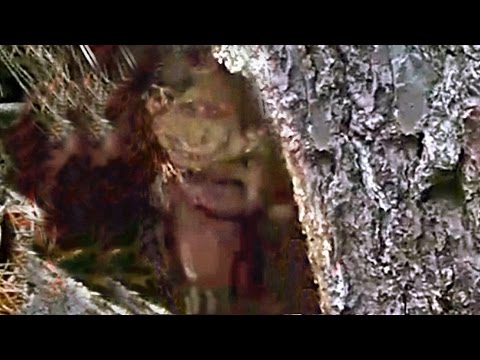 Troll Caught on Camera