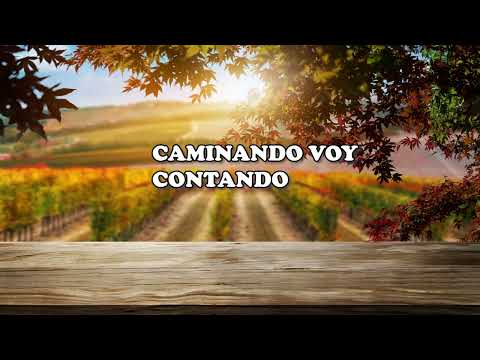 CAMINANDO VOY CONTANDO