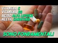 Vitamina C e D3 Acido ALFA LIPOICO e Acetil CARNITINA ▪ Integratori Fondamentali