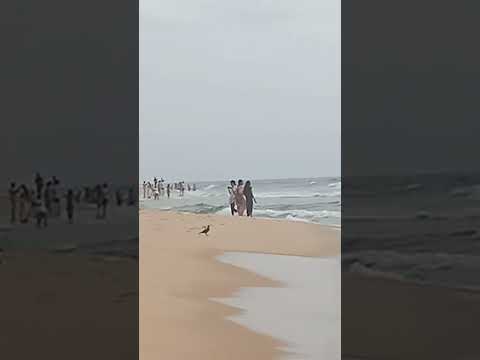 #varkalabeach koirubgi