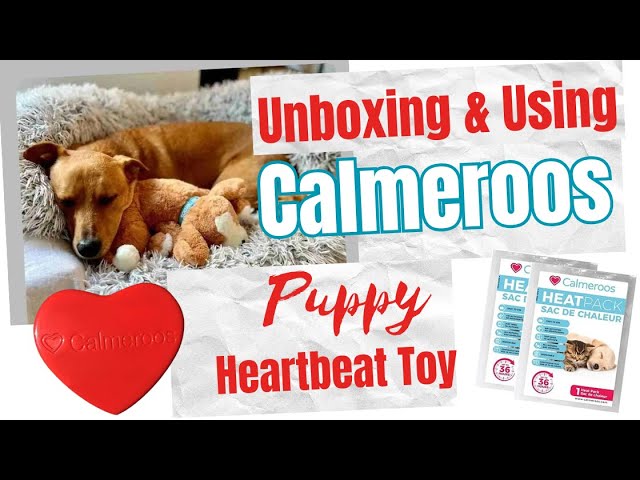 Vídeo relacionado con Hana Panda Heart Beat Puppy Behavioral Aid Toy (Latido del corazón)
