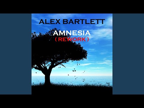 Amnesia (Martin Roth Remix)
