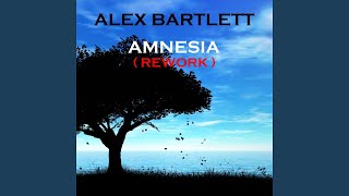Amnesia (Martin Roth Remix)
