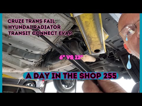 CRUZE ISSUE, ELANTRA RADIATOR, TRANSIT CONNECT EVAP SYSTEM. A DAY IN THE AUTO REPAIR SHOP 255.