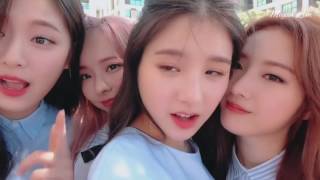이달의소녀탐구 (LOOΠΔ TV) #LOOΠΔ 1/3 #Love & Live