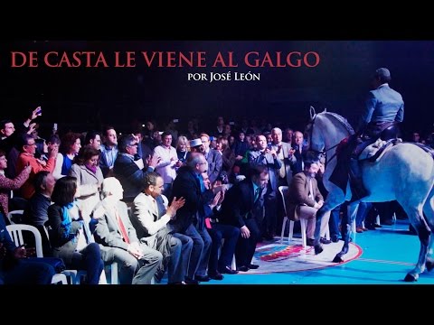 José León - "De Casta le viene al Galgo" (Despierta Campiña llana / Campeonato Nacional Galgos 2014)