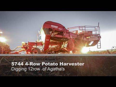 5744 4row Potato Harvester digging 12 rows of Agatha's