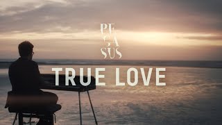 Musik-Video-Miniaturansicht zu True Love Songtext von Pegasus