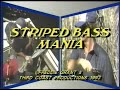 Striped Bass Mania 1993