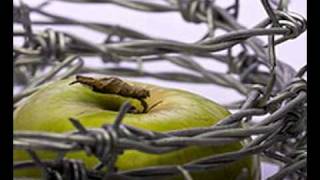 "Liberate me" - song by Rachel Sauls (SuRedemption)