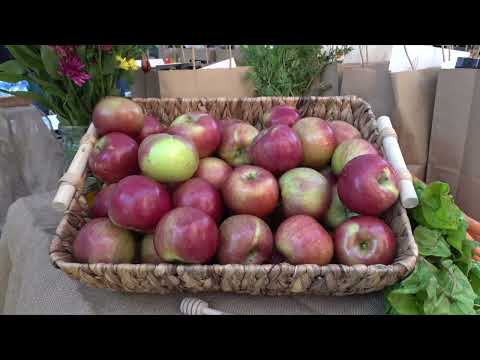 Newark Food Insecurity