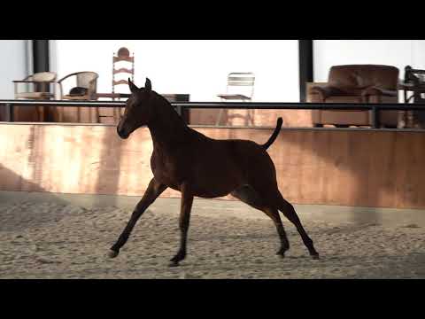 201113 5 Q Mentiroso das Faias   Joca x Escorial