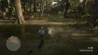 RDR2 legendary longnose gar fish location and how to catch