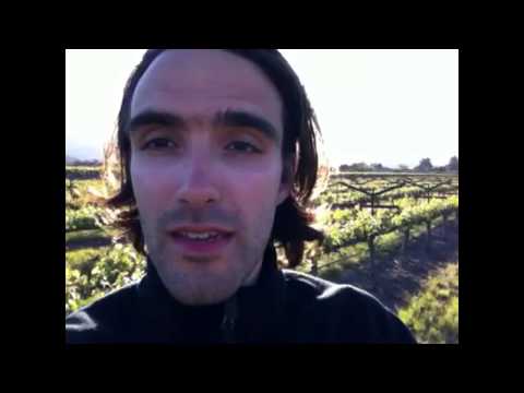 Wenn du merkst, dass du falsch abgebogen bist...