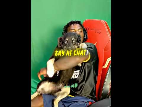 Speed shows his Dog 🐶❤️‍🩹
