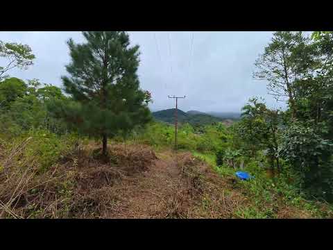 Sítio em guaraqueçaba Paraná 