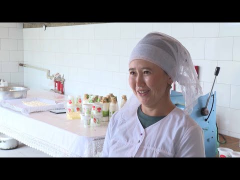 , title : 'Многодетная мать открыла мини-цех по переработке молока в Жамбылской области'
