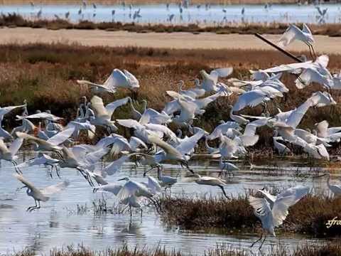 My October Symphony!