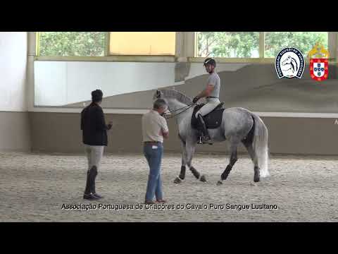 220902 9 Proj Ensino APSL&FEP - Nuno Mirandą da Silva com Jairo D´Além