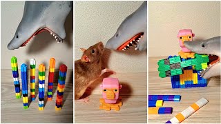 🎈Rat Screaming Shark Playing  funny Satisfying ASMR 🐁🦈
