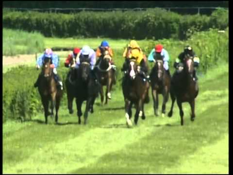 Dortmund, Preis des VM Brackel, 17.5.2012 - Sieger: Tempuran