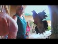 Best Security Camera Fails EVER You Have To See This