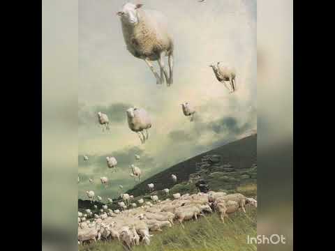 Maurizio Akira (Dj Set in Florence) 11/12/2022