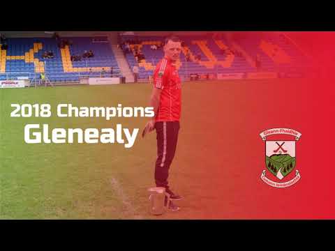 Wicklow Minor & Senior Hurling Championship Finals Promo