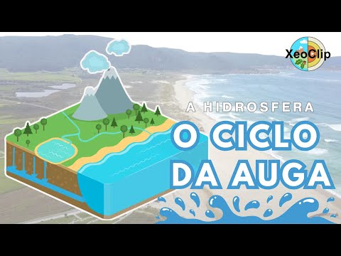 Vídeo: O ciclo da auga