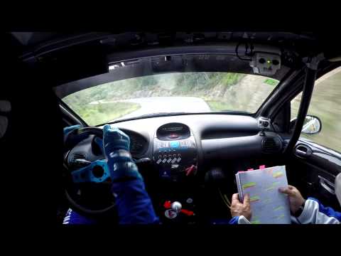 Onboard | Peugeot 206 XS | Luka Larrosa - Oscar Larrosa | Rally Empordà 2015 |Santa Pellaia 2
