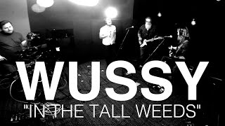 Wussy - &quot;In the Tall Weeds&quot; | WCPO Lounge Acts