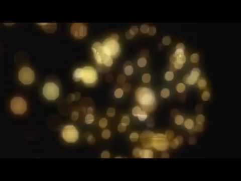 Premier Limos & Wedding Car Hire video.