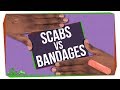 What's Better for Wounds: Scabs or Bandages?