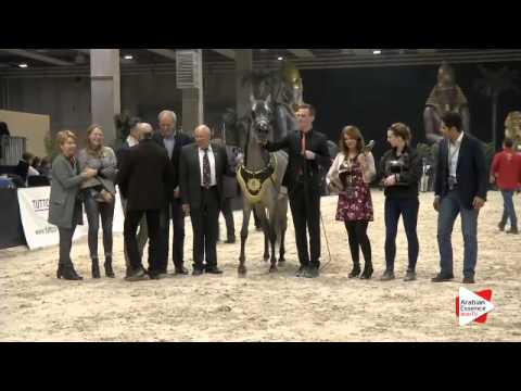 1st-N.161 PENELOPE KA - Verona 2015 - Junior Females Championship (Class 15)