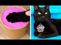 Makeover Of Homeless Kitten Gadgets And Hacks For Pets