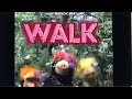 Opening To Sesame Street More Sing Along Dance Along Do Along 1998 VHS