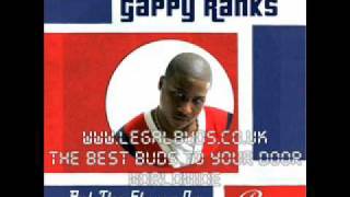 Pumpkin Belly - Gappy Ranks - Put The Stereo On - 2010