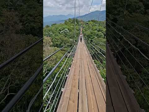 Puente colgante  en alegria Usulutan. 🌳🌍💫